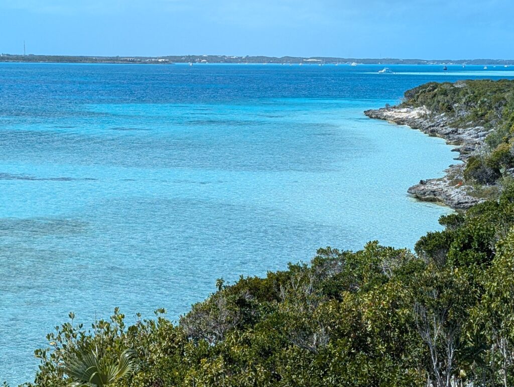 Bahama Island Preservation